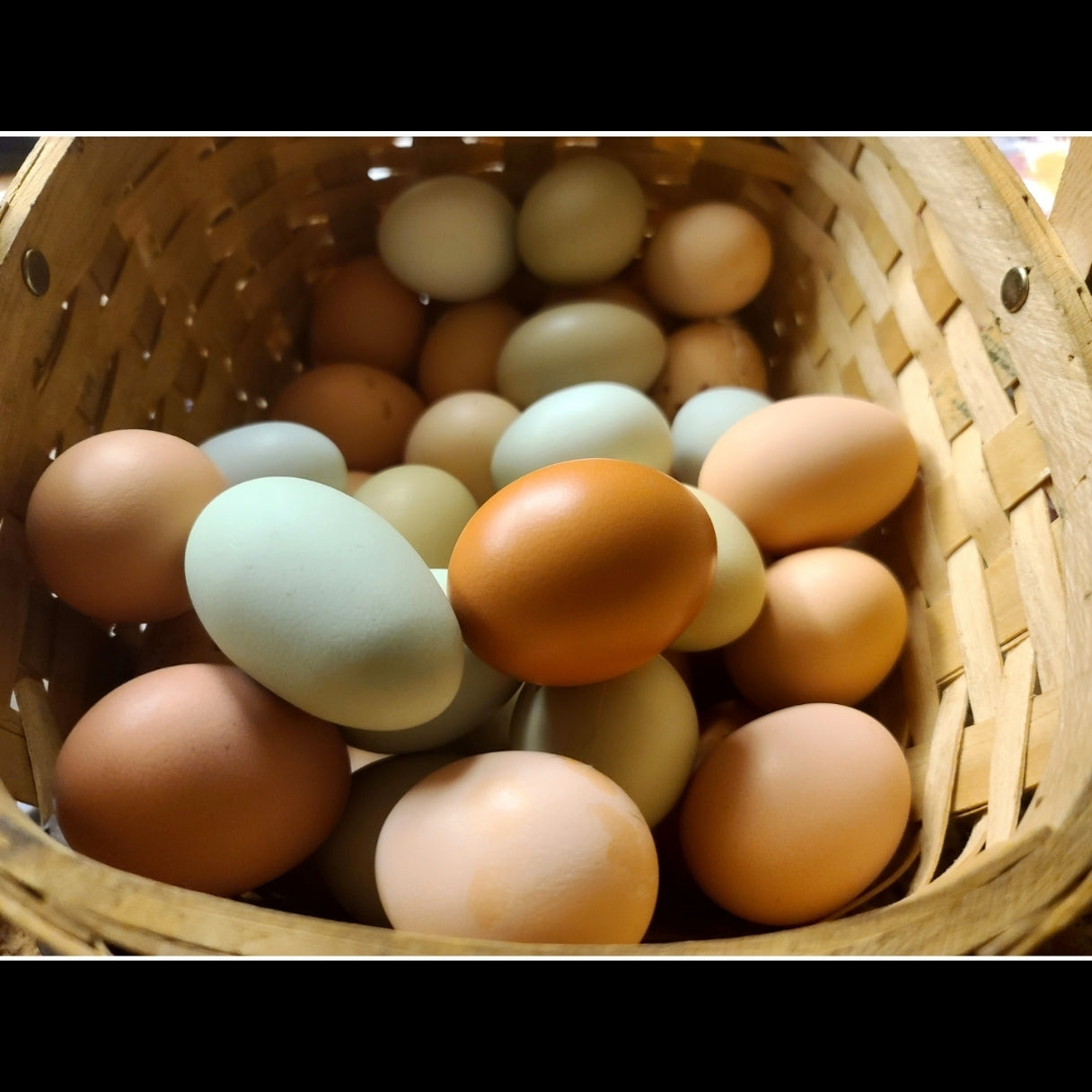 Farm Fresh Eggs 12