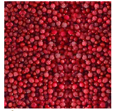 AmbeRye Frozen Red Currant LB