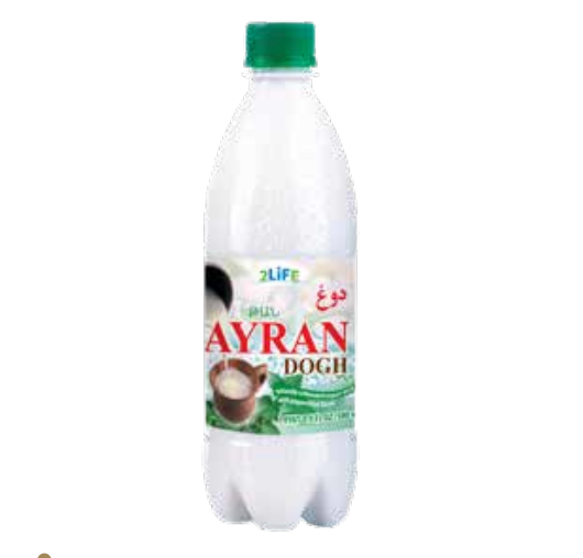 Ayran Mint 1% Carbonated Yogurt Drink 500ml